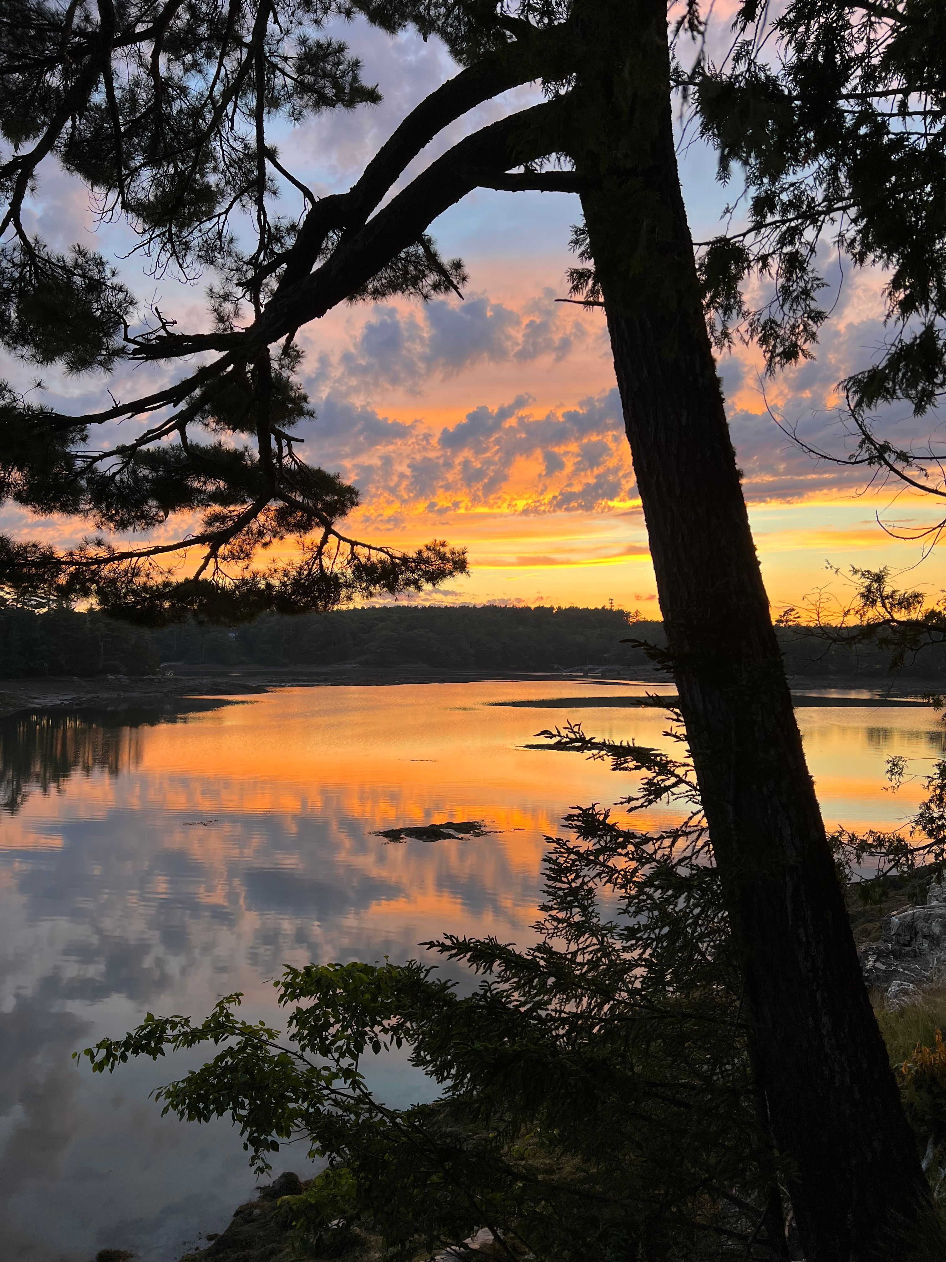 Life in Maine
