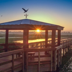 Cattail Marsh Wetlands in Beaumont, Texas