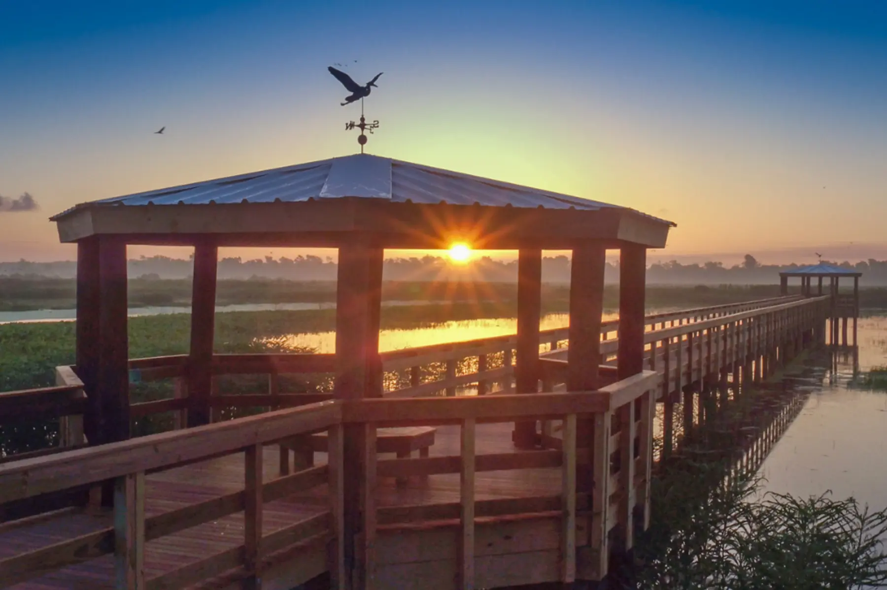 Cattail Marsh Wetlands in Beaumont, Texas