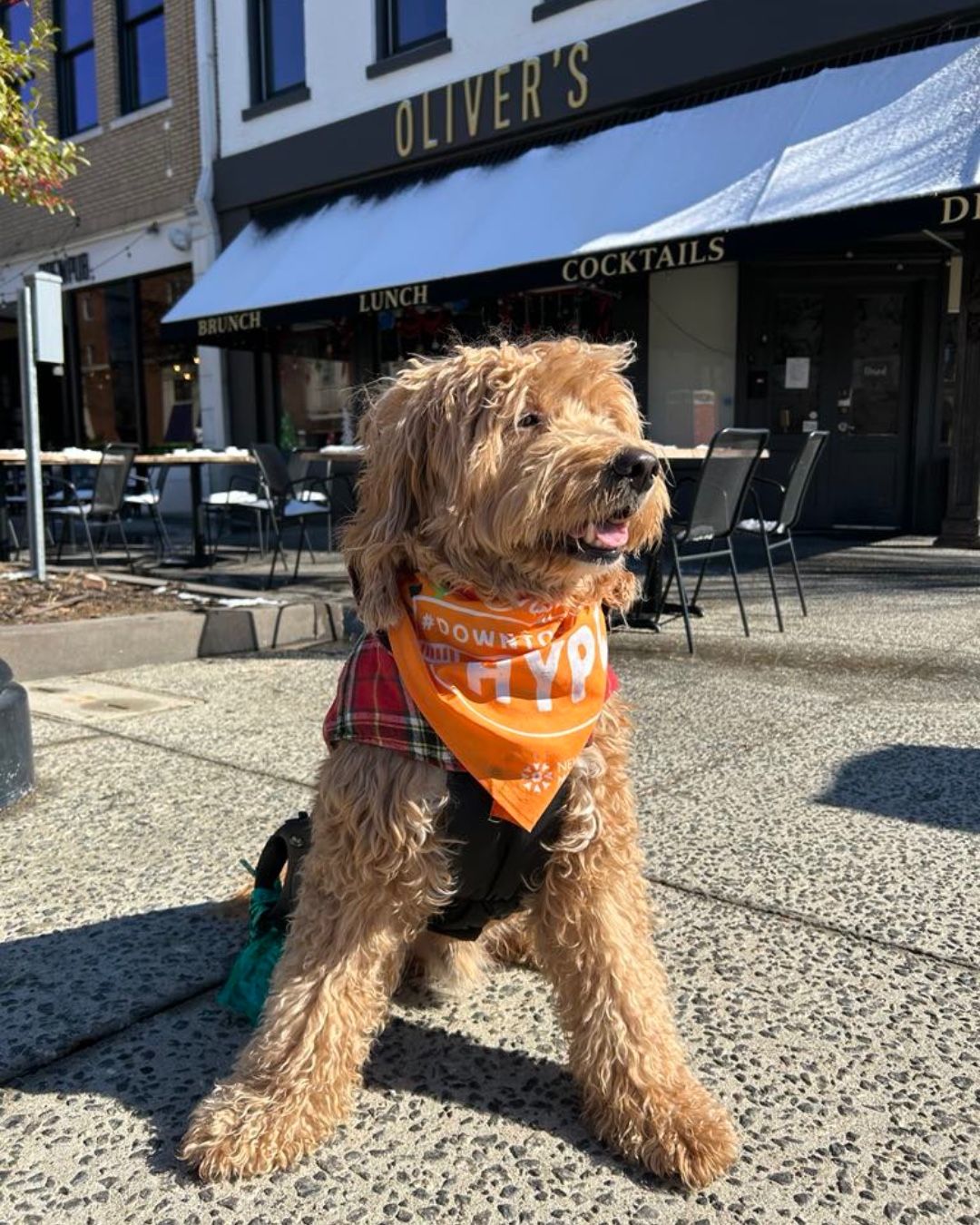 Life in Macon, Georgia