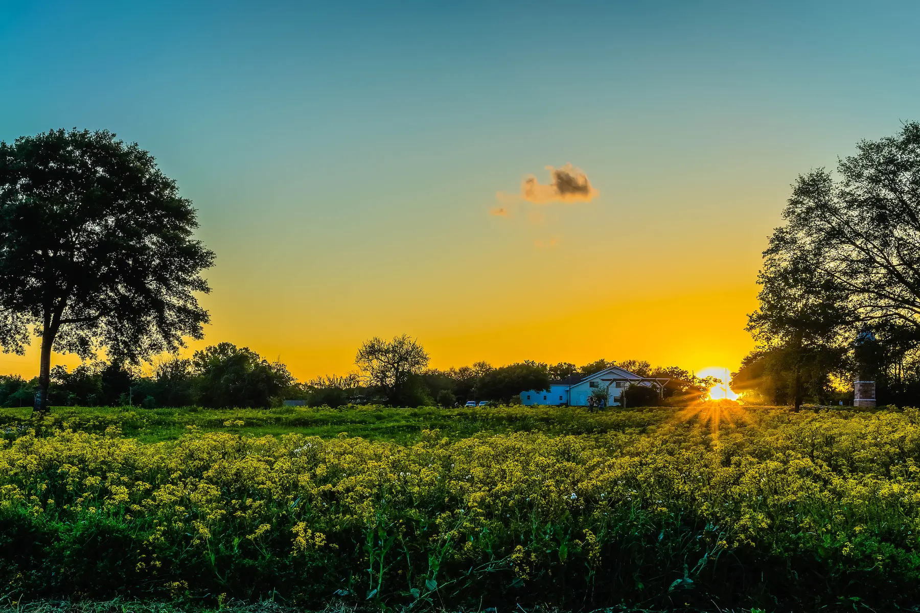 Quiet, rural charm meets bustling city in Fulshear, located just outside of metropolitan Houston and Sugar Land.