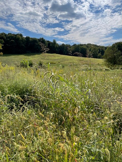 Get paid to live in 
    Southern Indiana