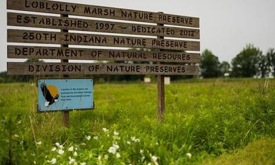 Loblolly Marsh Nature Preserve