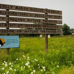 Loblolly Marsh Nature Preserve