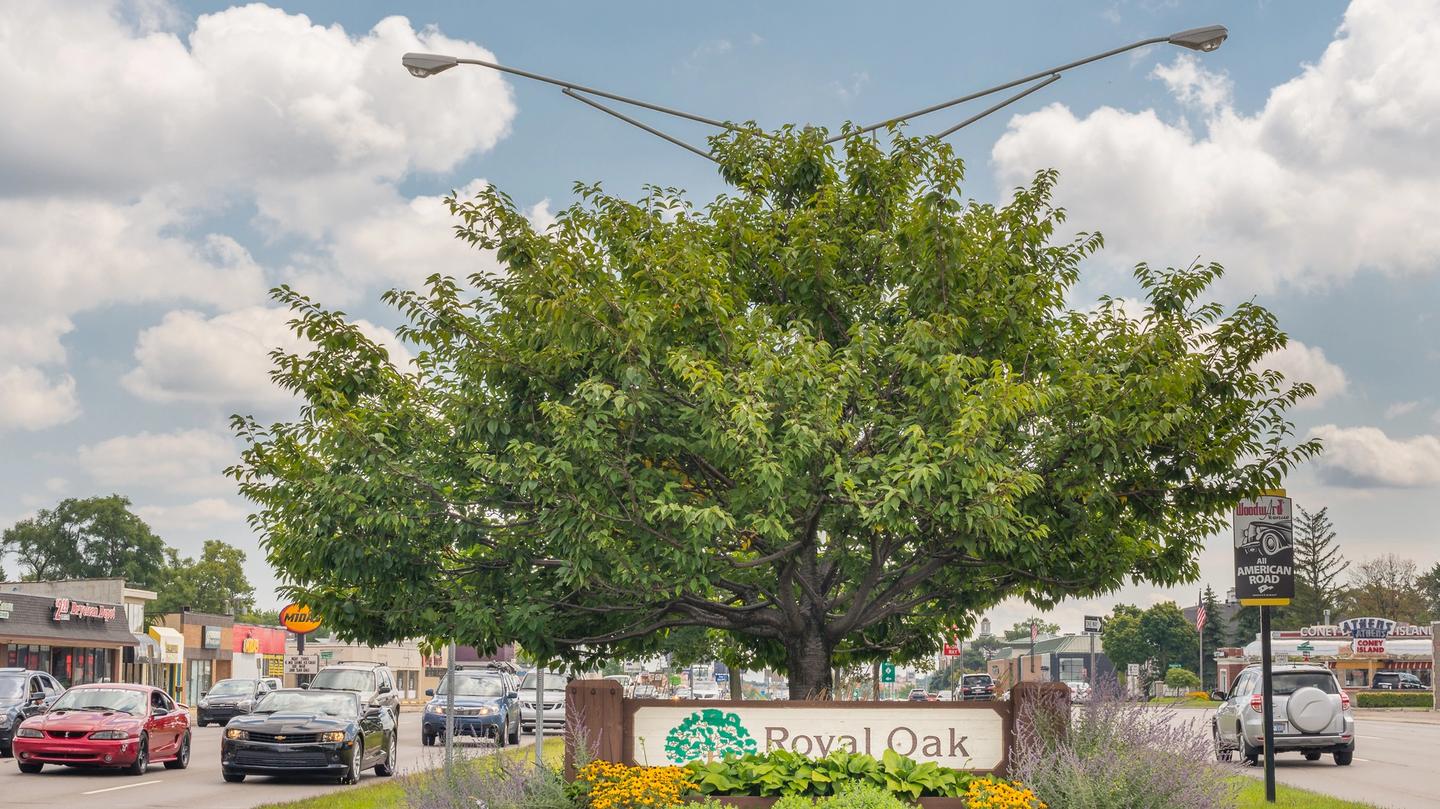 Because of its commitment to tree planting and preservation, Royal Oak has earned the title of “Tree City USA” from the National Arbor Day Foundation every year since 1976.