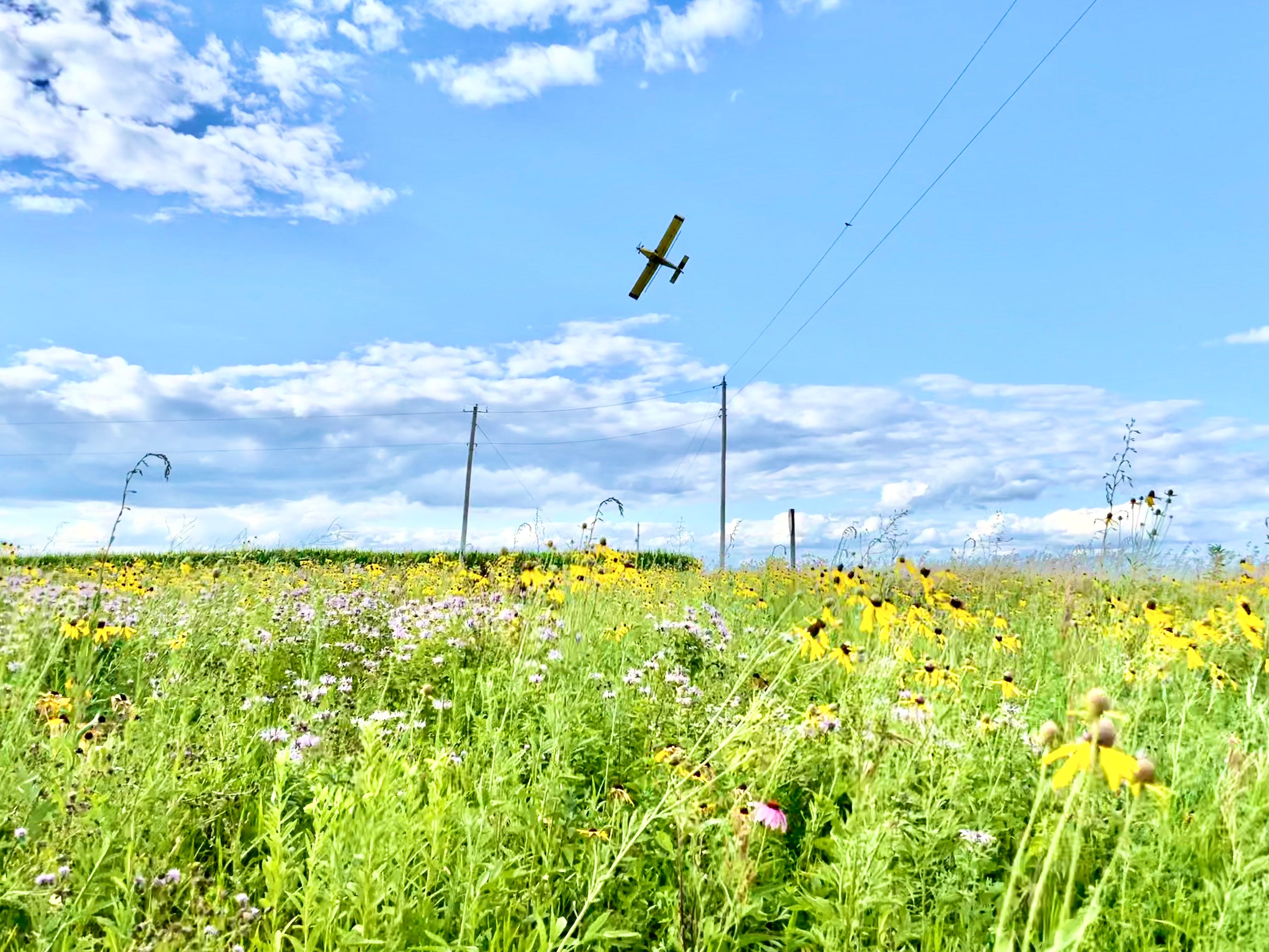 Get paid to live in 
    Pocahontas County, Iowa