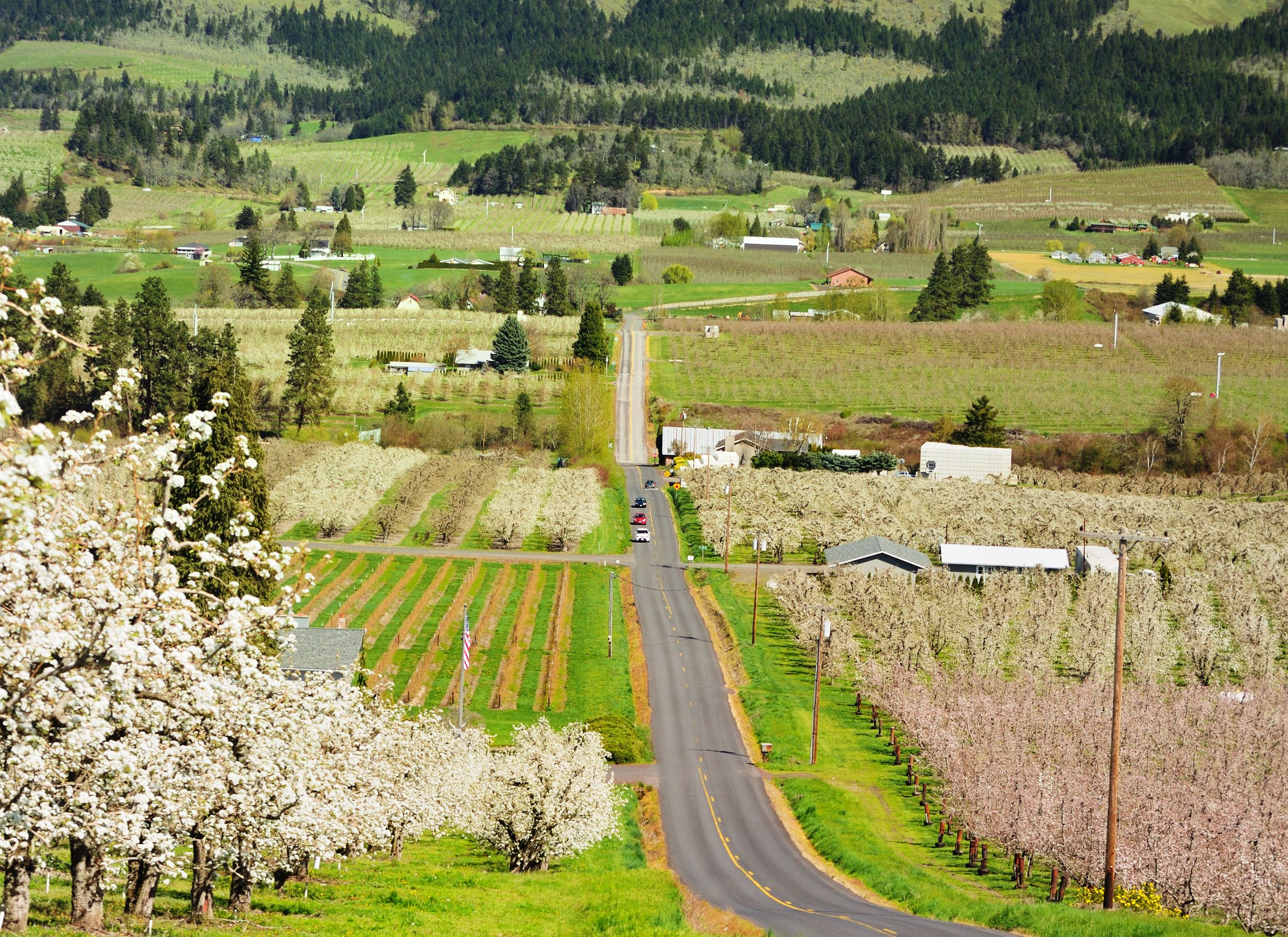 Ontario Oregon Real Estate - u3lkp28