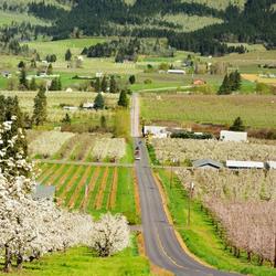 Get paid to live in Ontario, Oregon