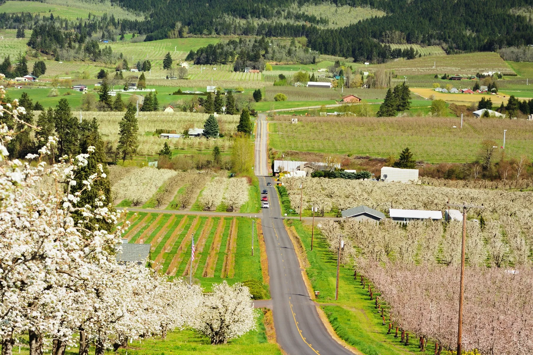 Get paid to live in Ontario, Oregon