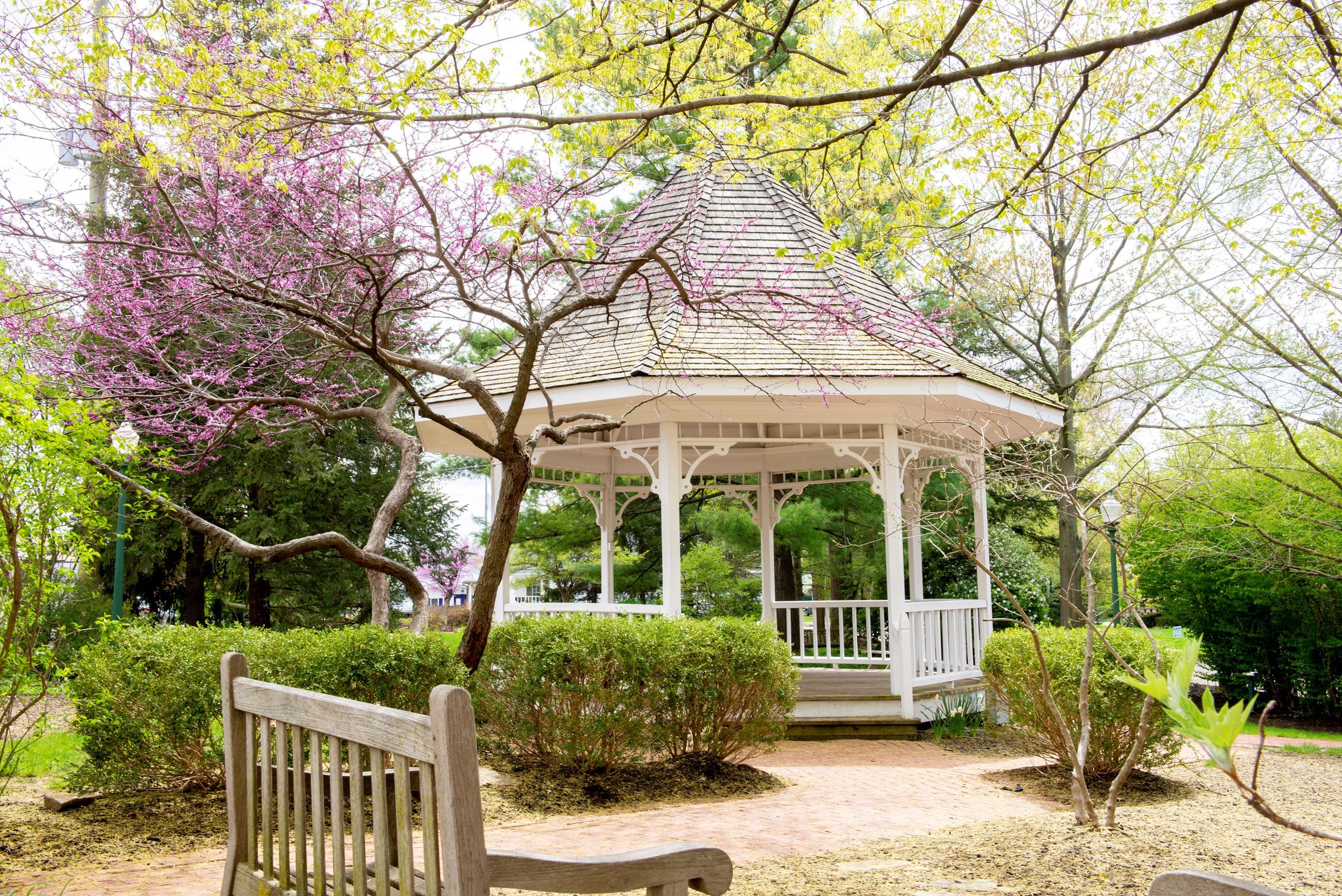 Life in Zionsville, Indiana