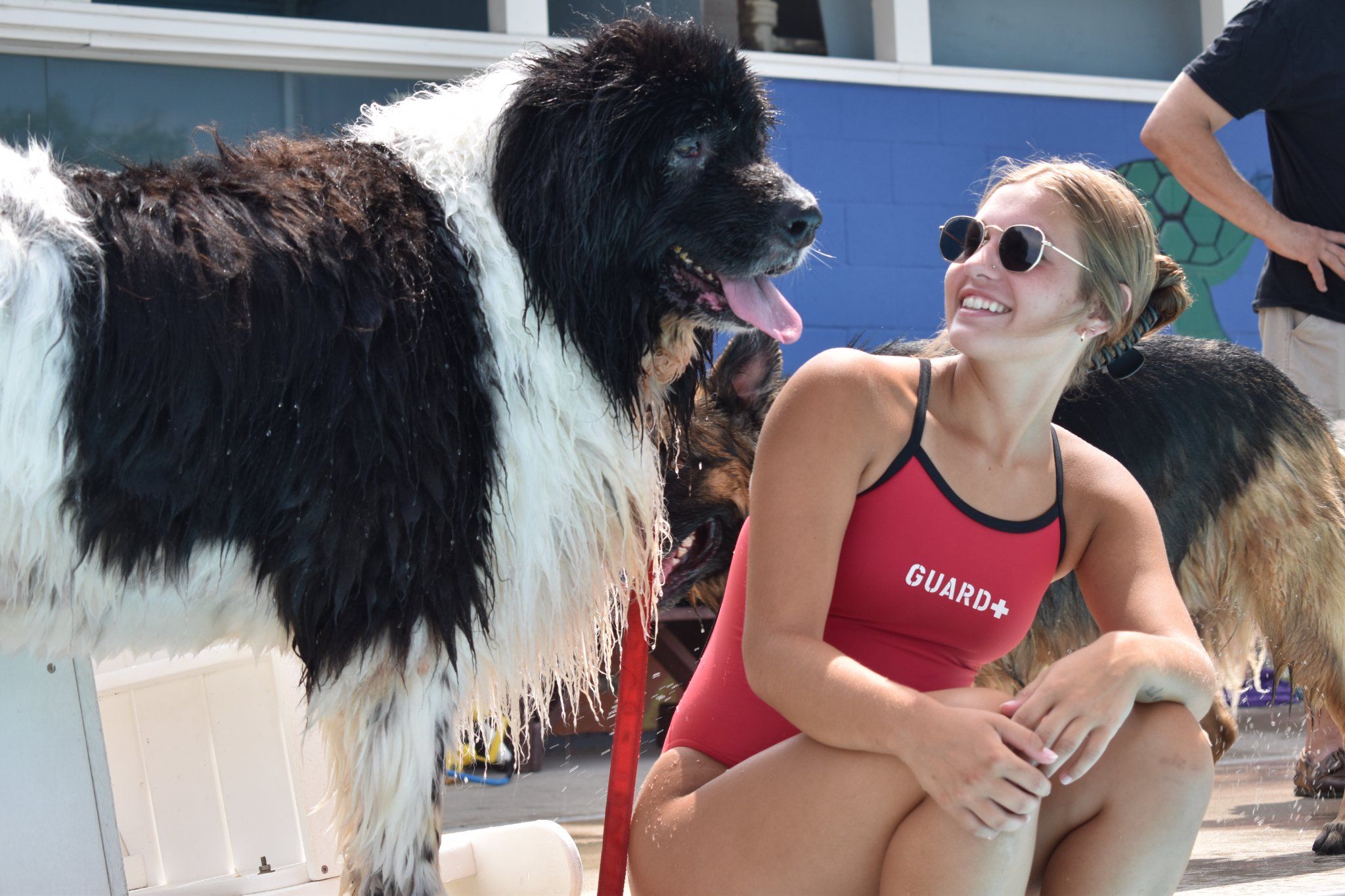 Life in Logansport, Indiana