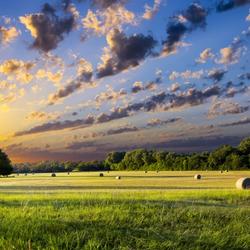 Sun rises on a field in Texas