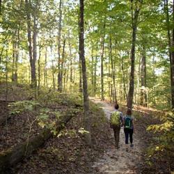 There is tons of hiking nearby! From parks and recreation areas to the Hoosier National Forest. (photo cred: Visit Bloomington)
