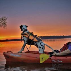 Kayaking at Westwood Park