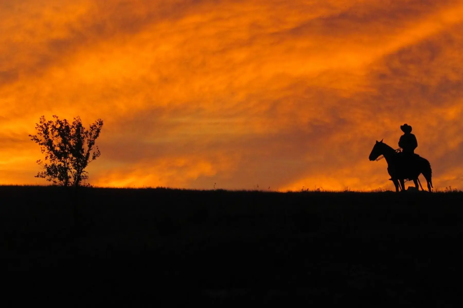 Cowboys in Rooks County, Kansas, embody the enduring spirit of the American West.
