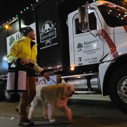 Hamms Arborcare decorated truck