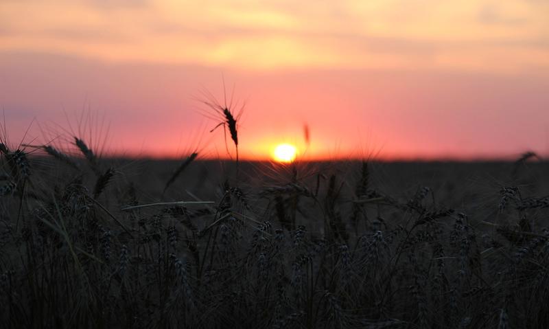 Sunset in Sheridan County