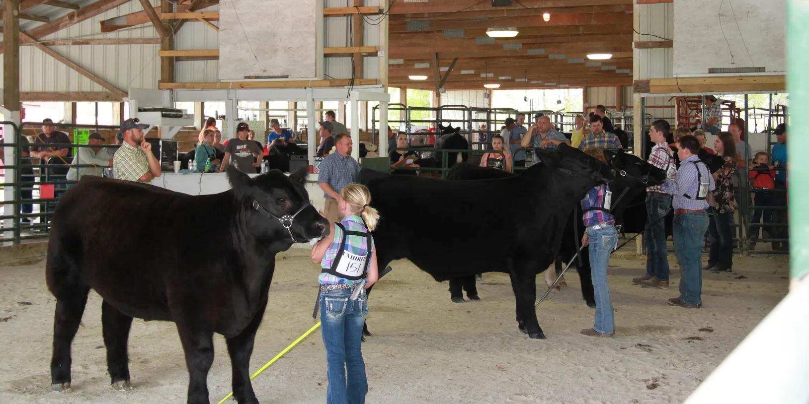 Life in Switzerland County, Indiana