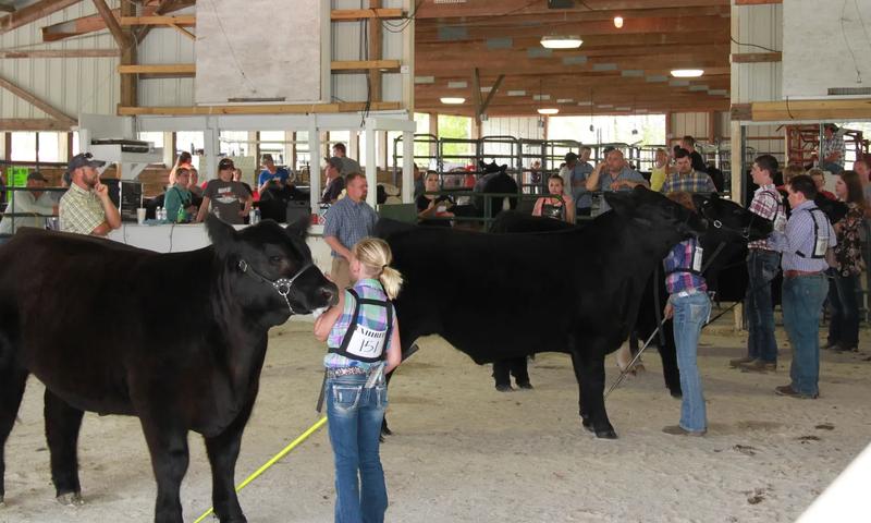 Switzerland County 4-H Fair (Image Credit: Switzerland County Tourism)