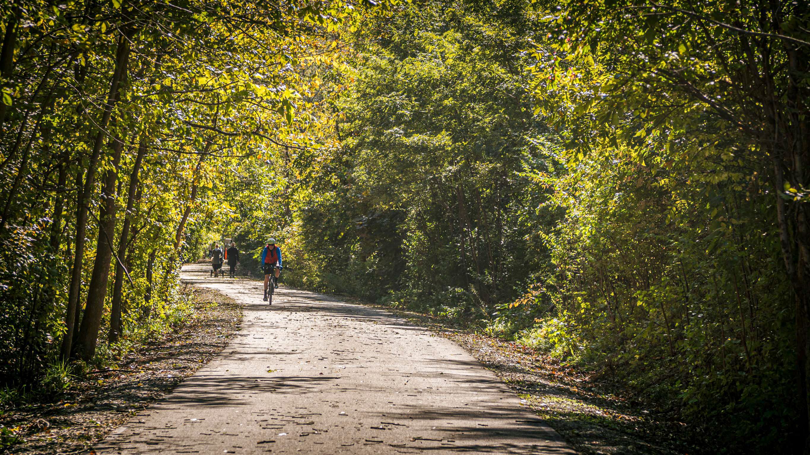 Life in Westfield, Indiana