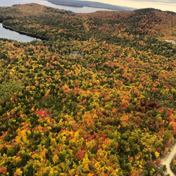 Aerial View of Leaf-Peeing Season in Maine (Credit: Live + Work in Maine)