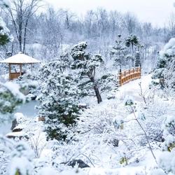 Winter Weather in West Michigan (Credit: You Can in Michigan)