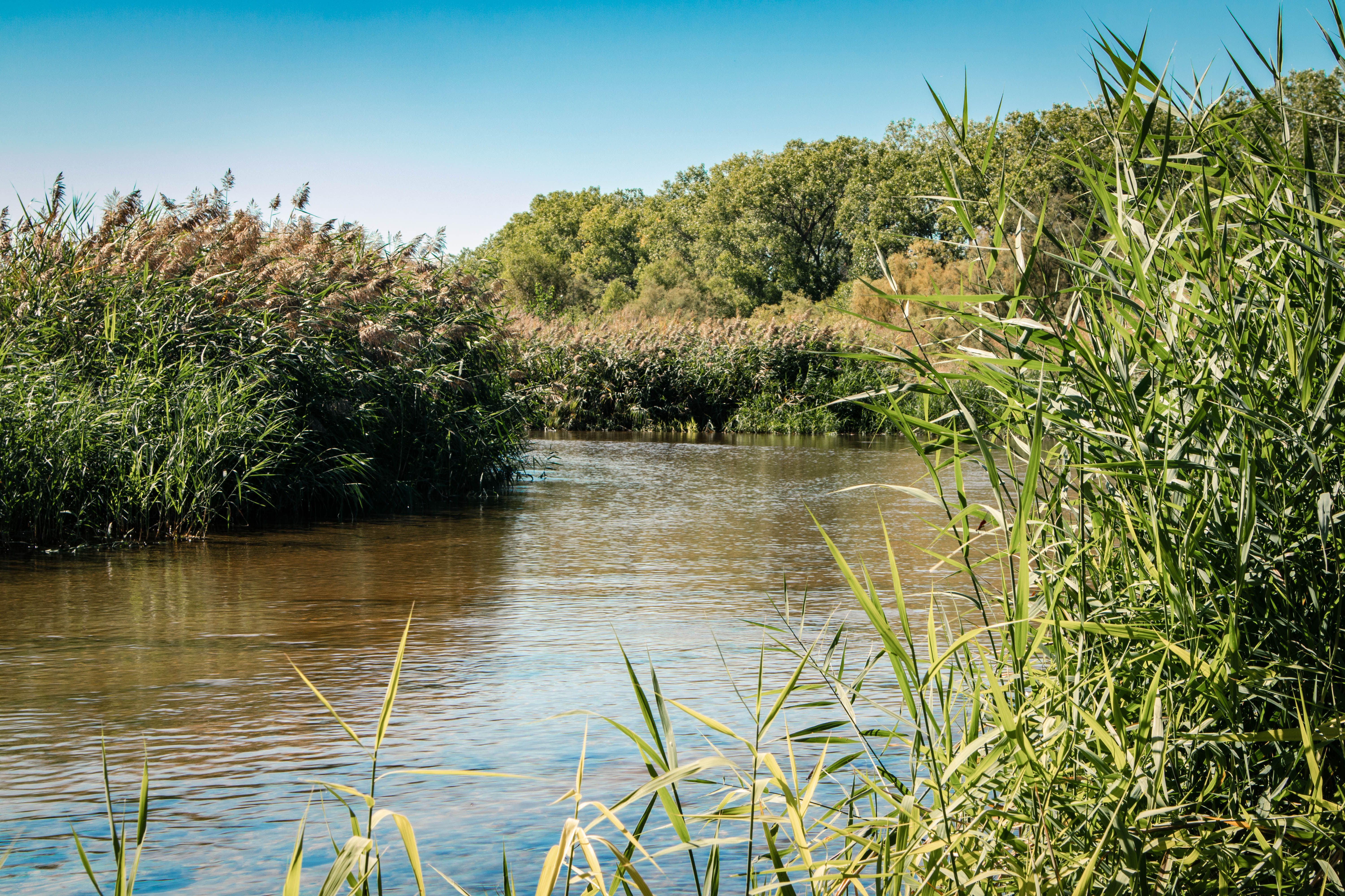 Life in Nickerson, Kansas