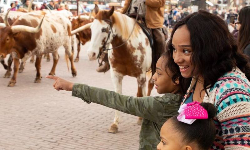 Fort Worth Cattle Drive
