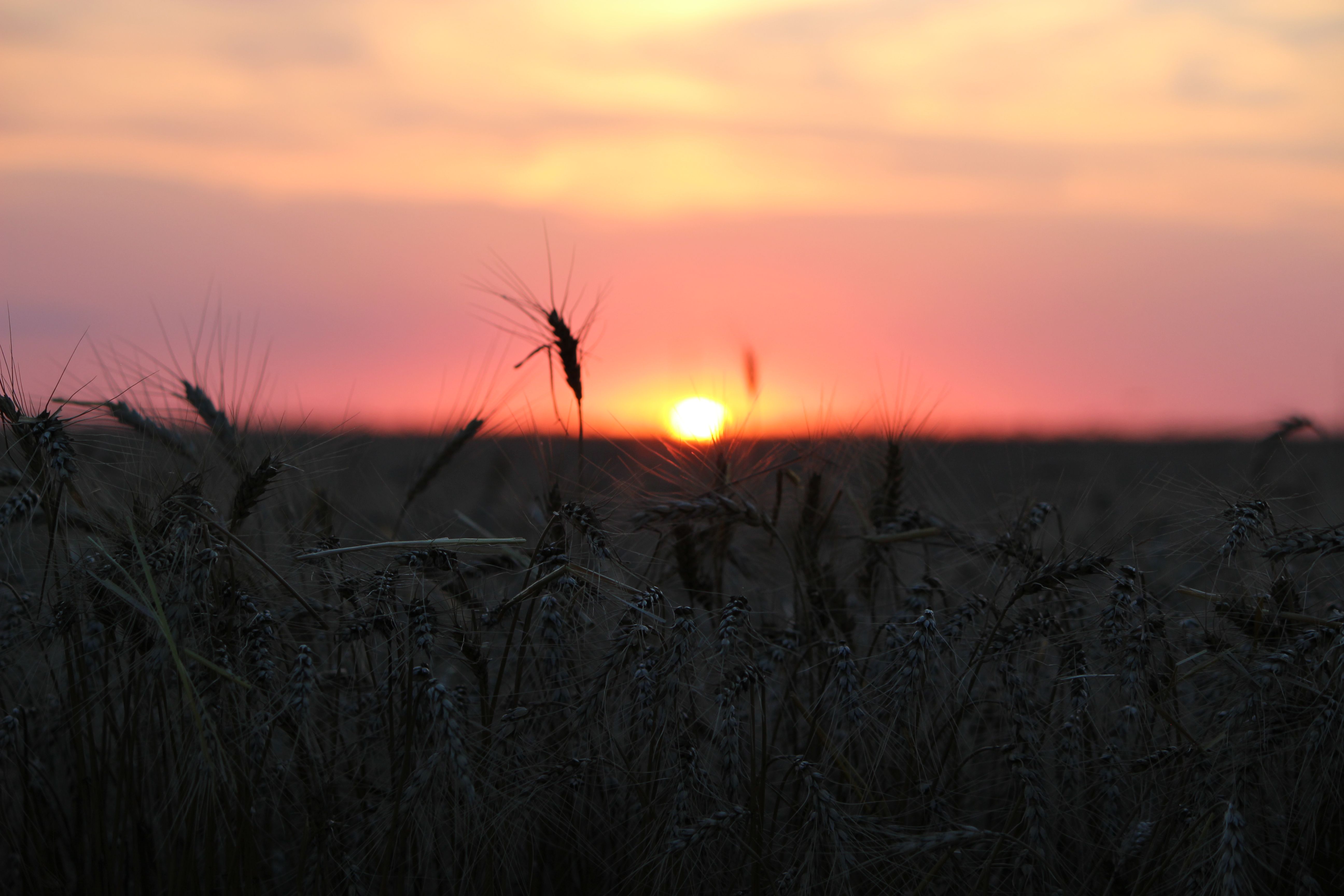 Get paid to live in 
    Sheridan County, Kansas