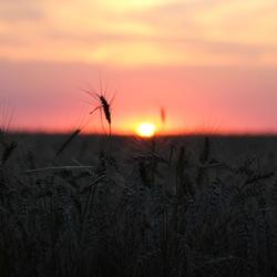 Sunset in Sheridan County