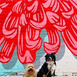 Pets in Salina (Credit: Visit Salina)