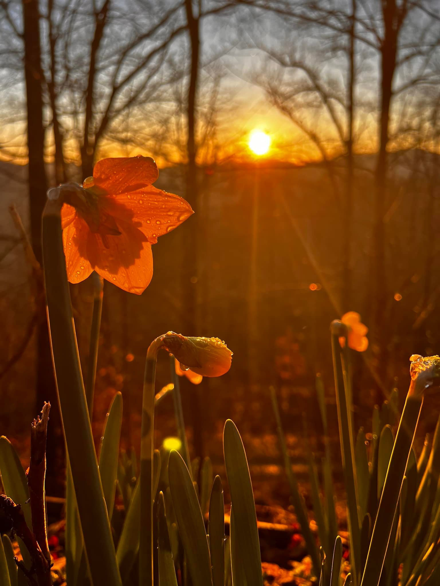 Life in Prestonsburg, Kentucky