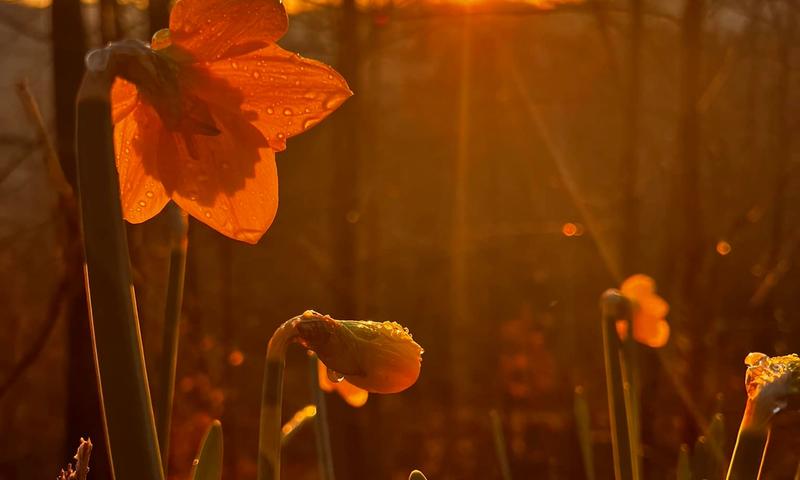 Spring in Prestonsburg