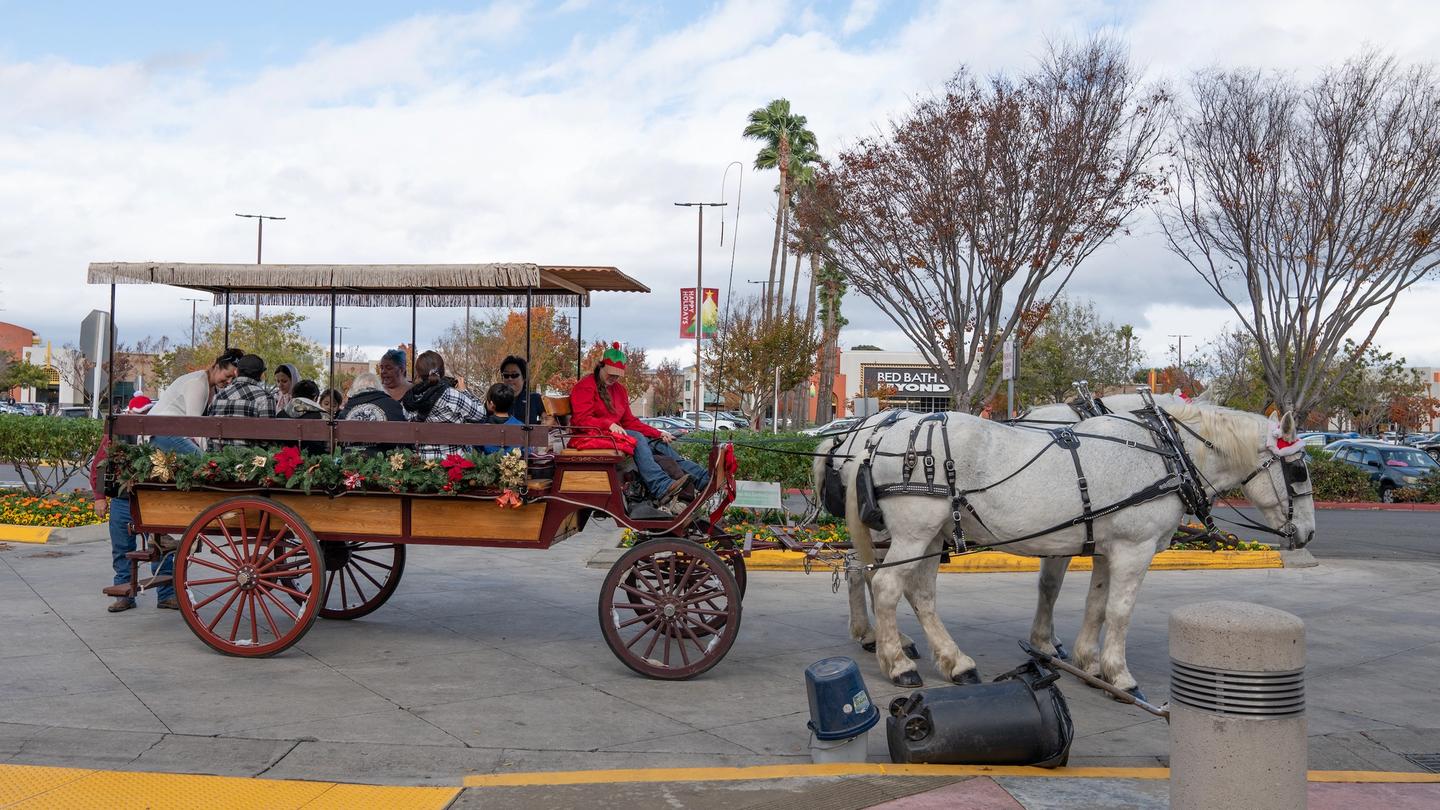 Locals board free horse-drawn carriage ride for the holidays in Hacienda Crossings Shopping Center. Photo credit: Keith Kong / Shutterstock.com