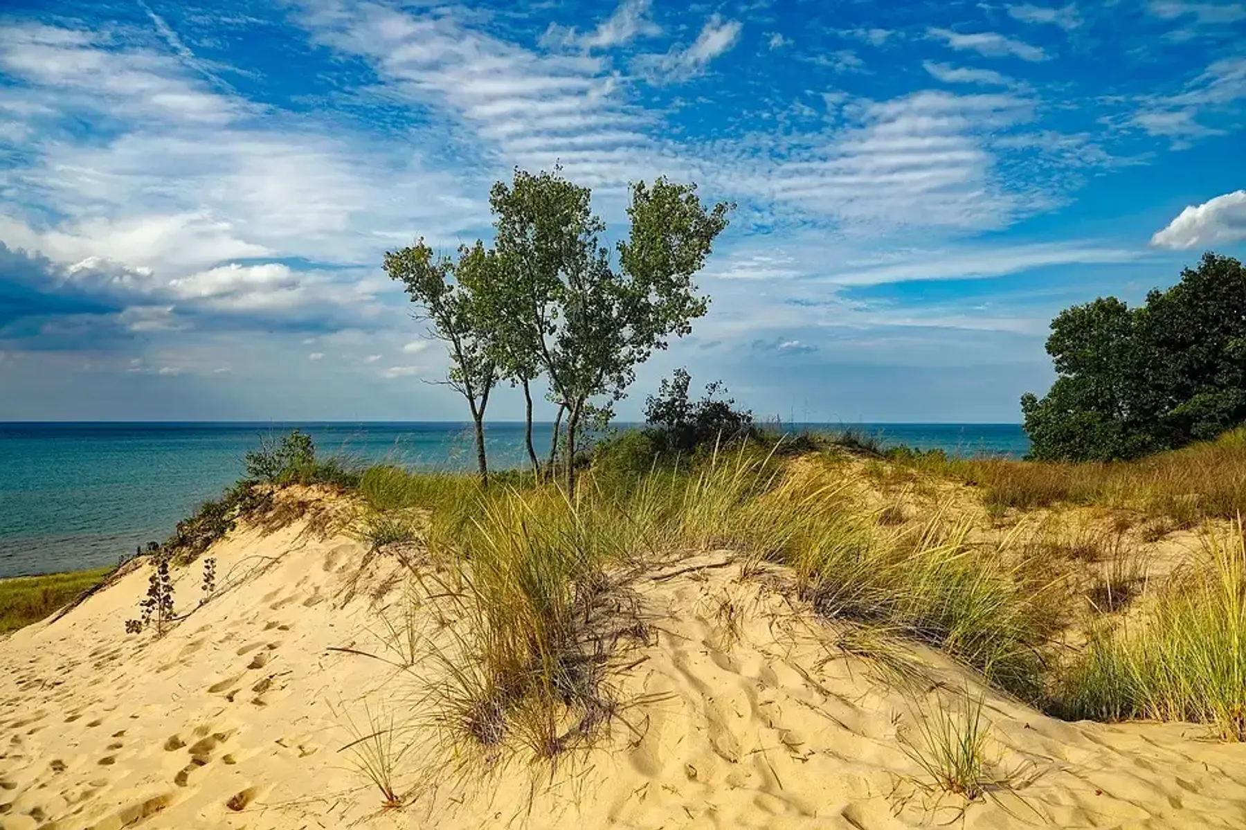 Indiana Dunes (Photo Credit: Vincennes University)