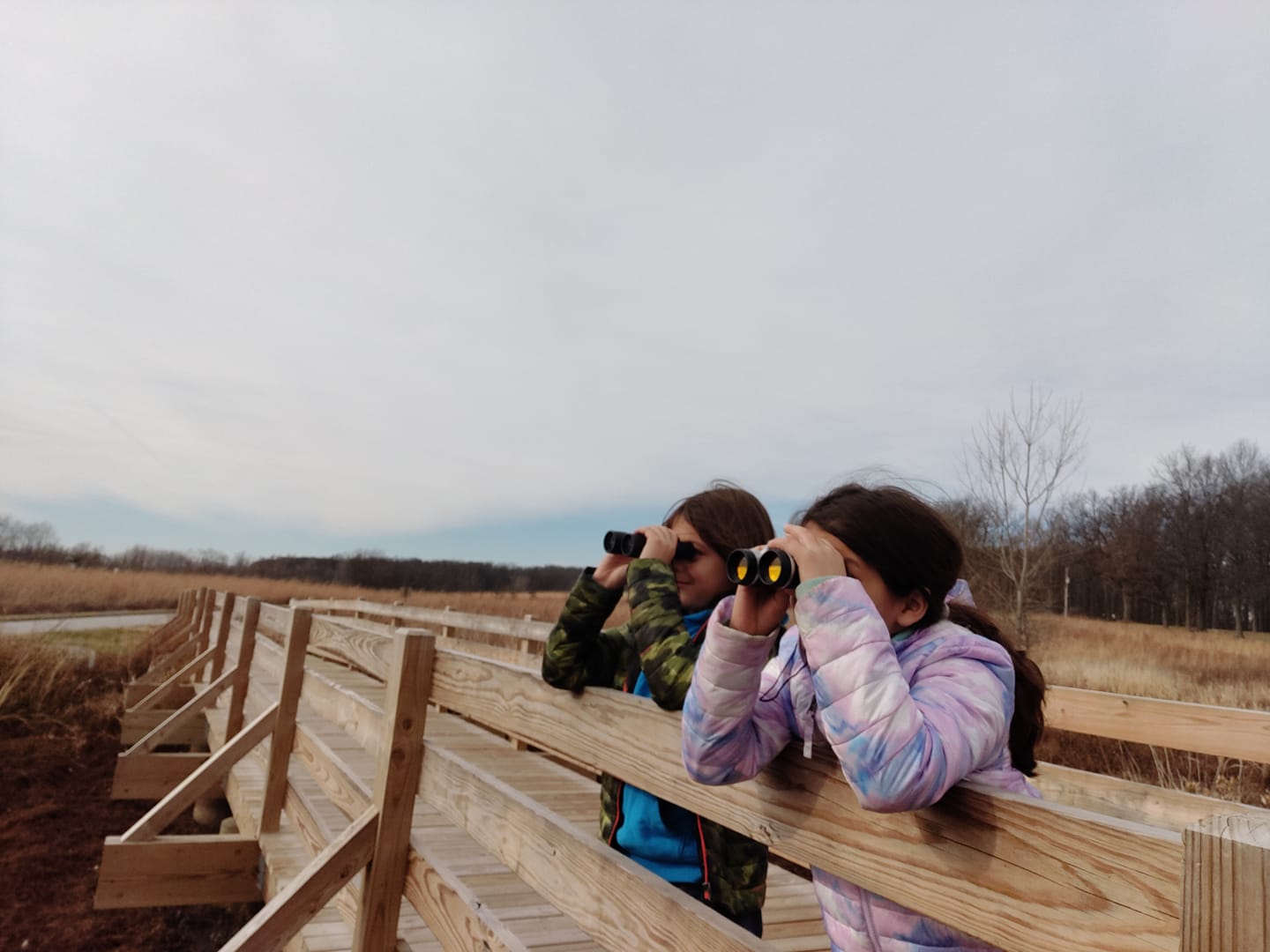 Life in Jay County, Indiana