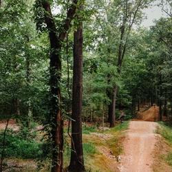 Downhill biking trail near Bentonville, Arkansas. This part of the state is especially popular with biking enthusiasts.