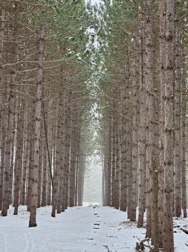 Life in Portage County, Wisconsin