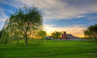 Sun sets behind a weeping willow and a red barn