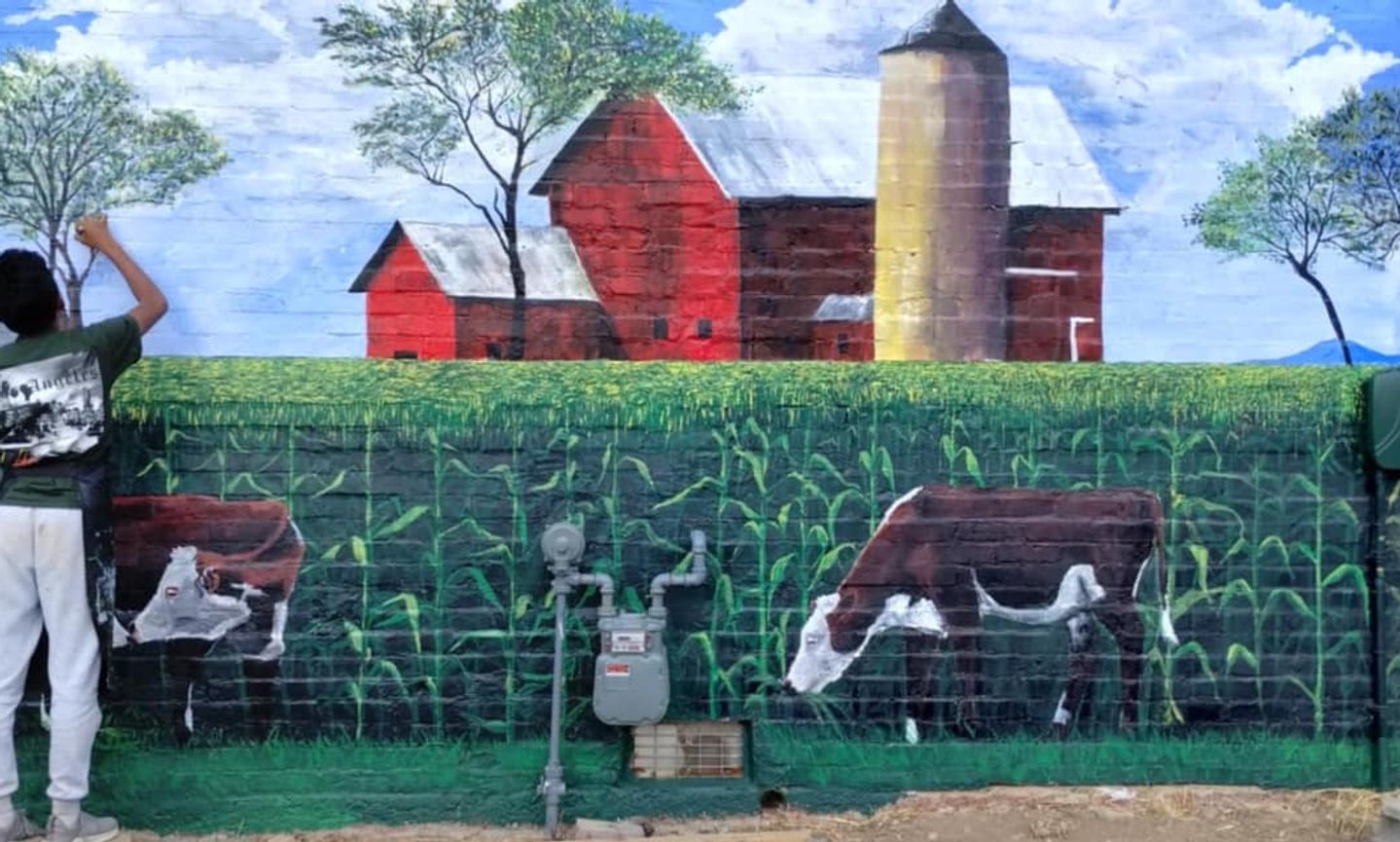 Local artist at work in Mercer County (Credit: MCAD)