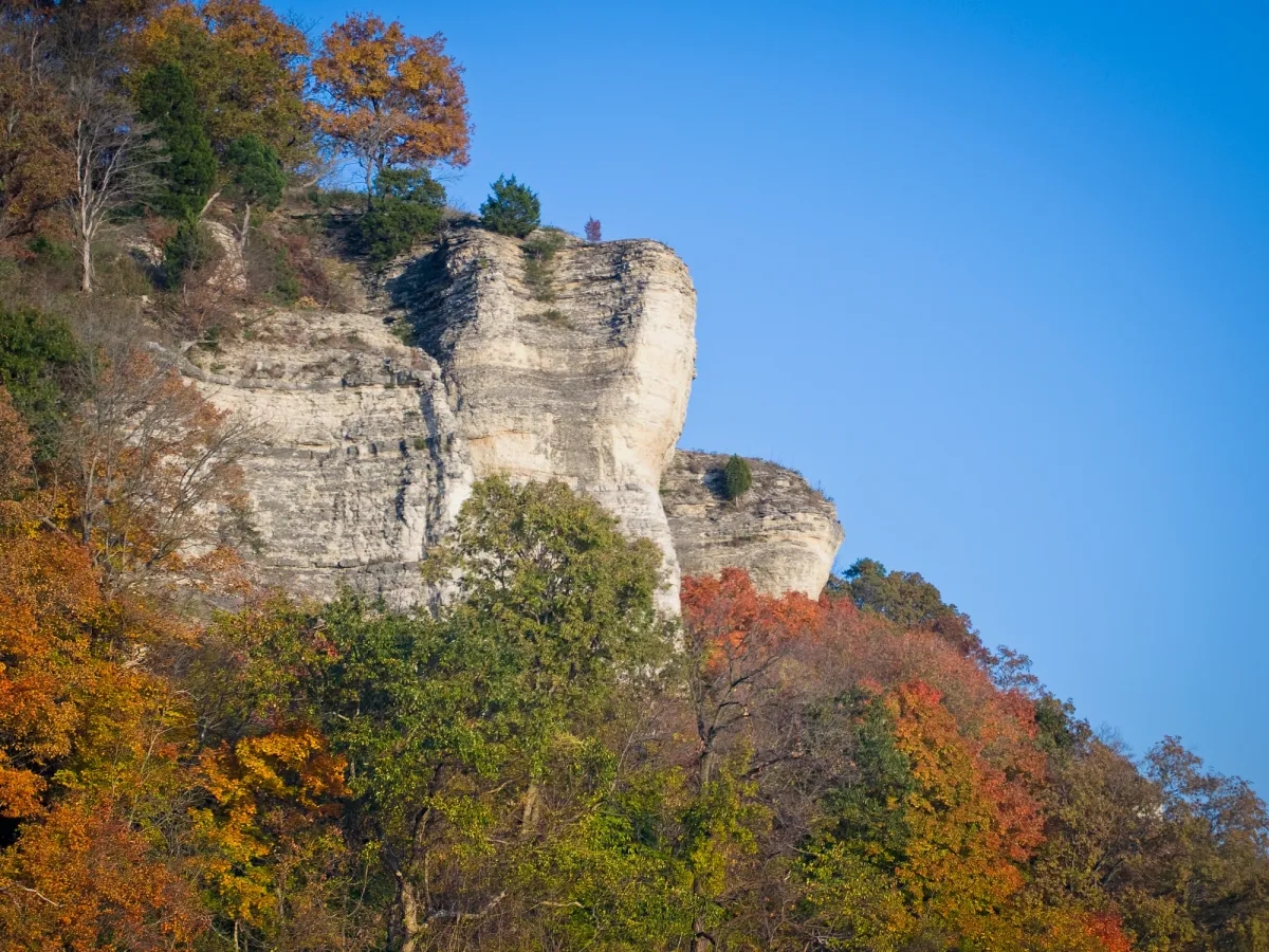 Grafton