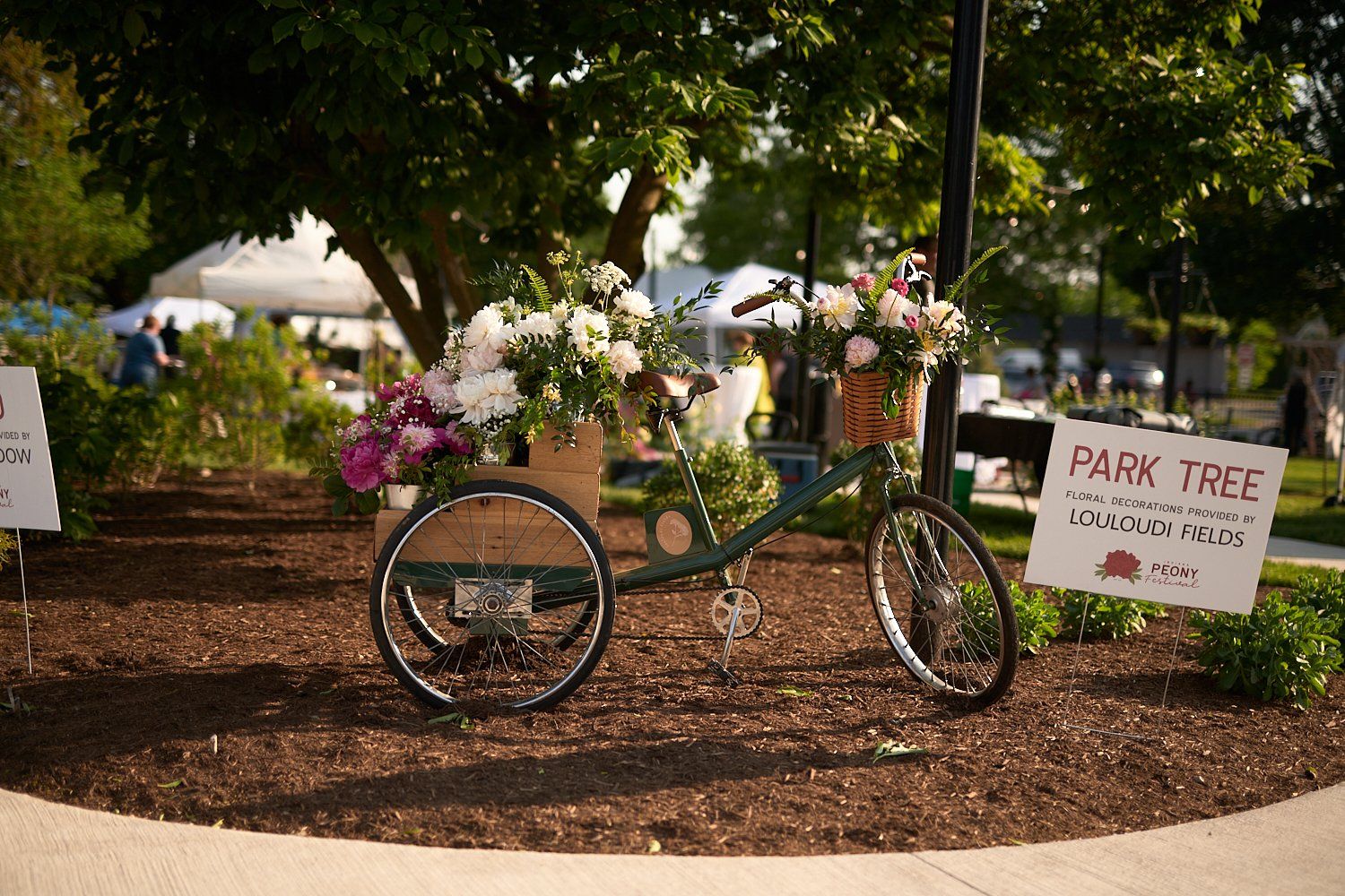 Life in Noblesville, Indiana