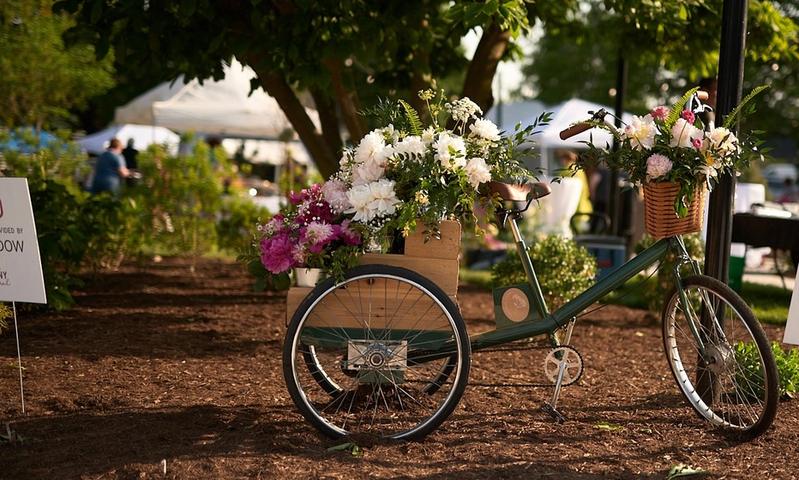 Indiana Peony Festival in Noblesville, IN (Photo Credit: Chris Whonsetler Photography for indianapeonyfestival.com)