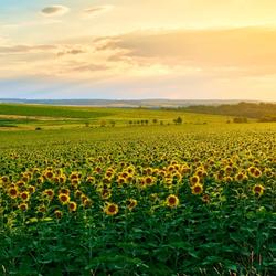 Get paid to live in Osborne, Kansas