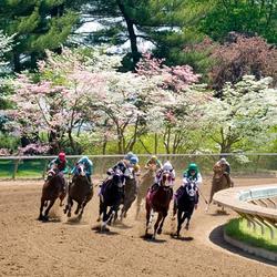 Keeneland in Spring (photo by Gene