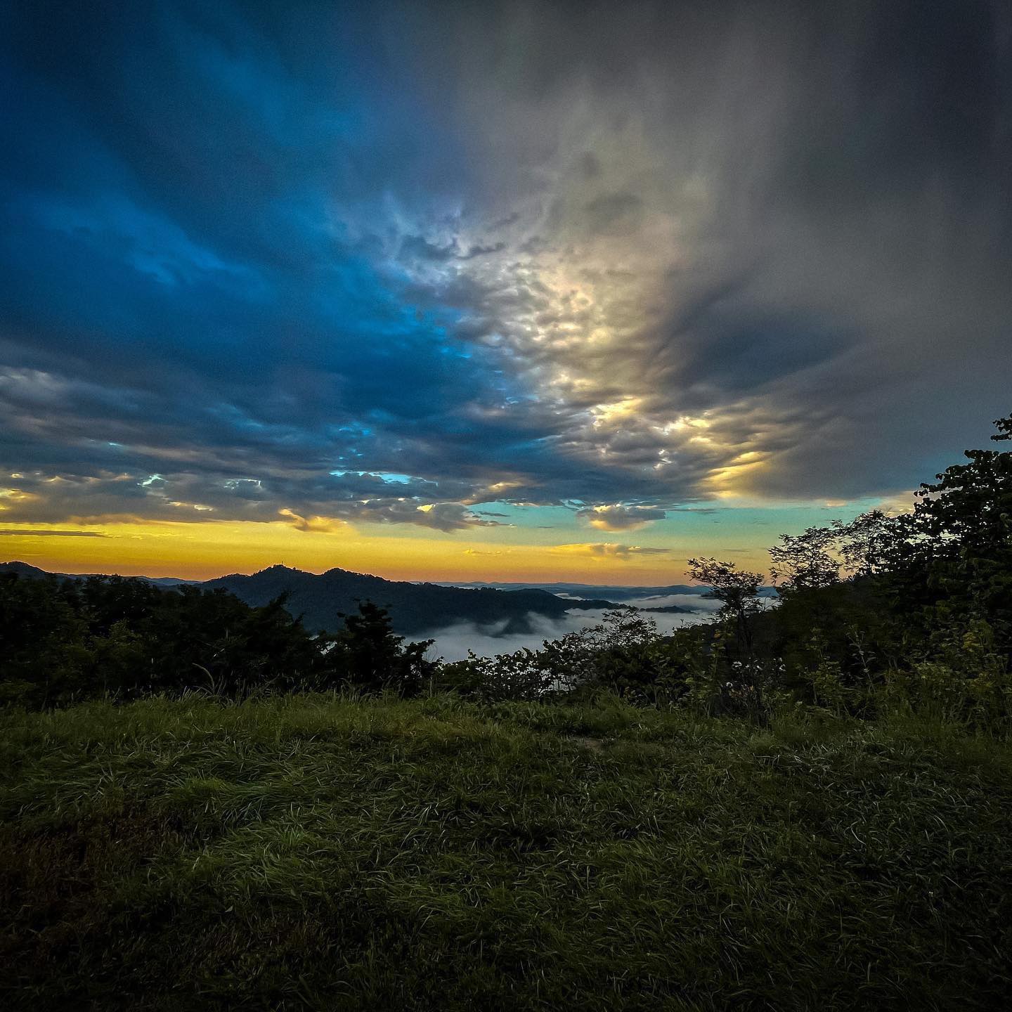 Pikeville, Kentucky Guide to Living & Working MakeMyMove