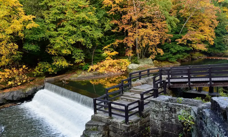 McConnel State Park