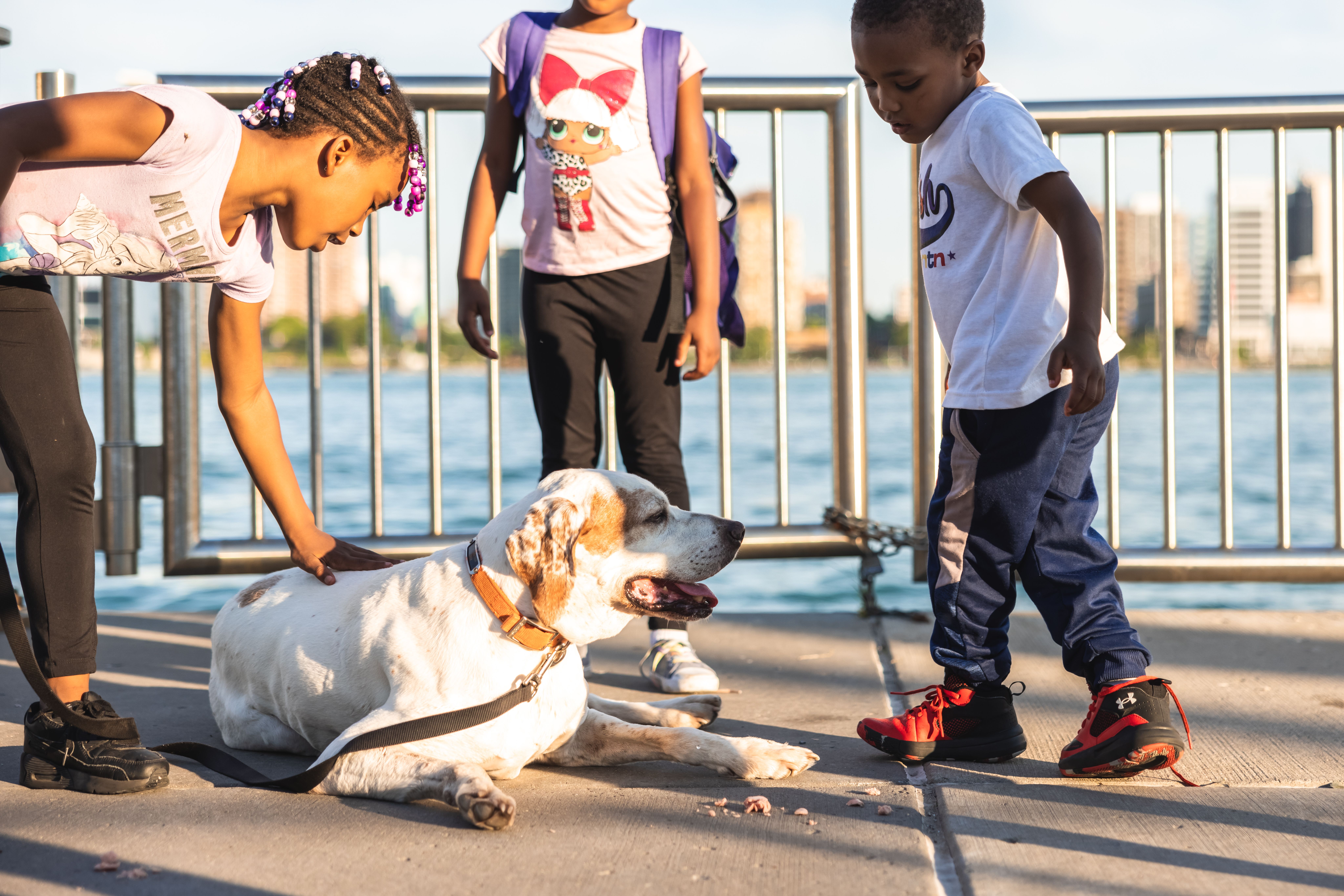 Life in Detroit, Michigan