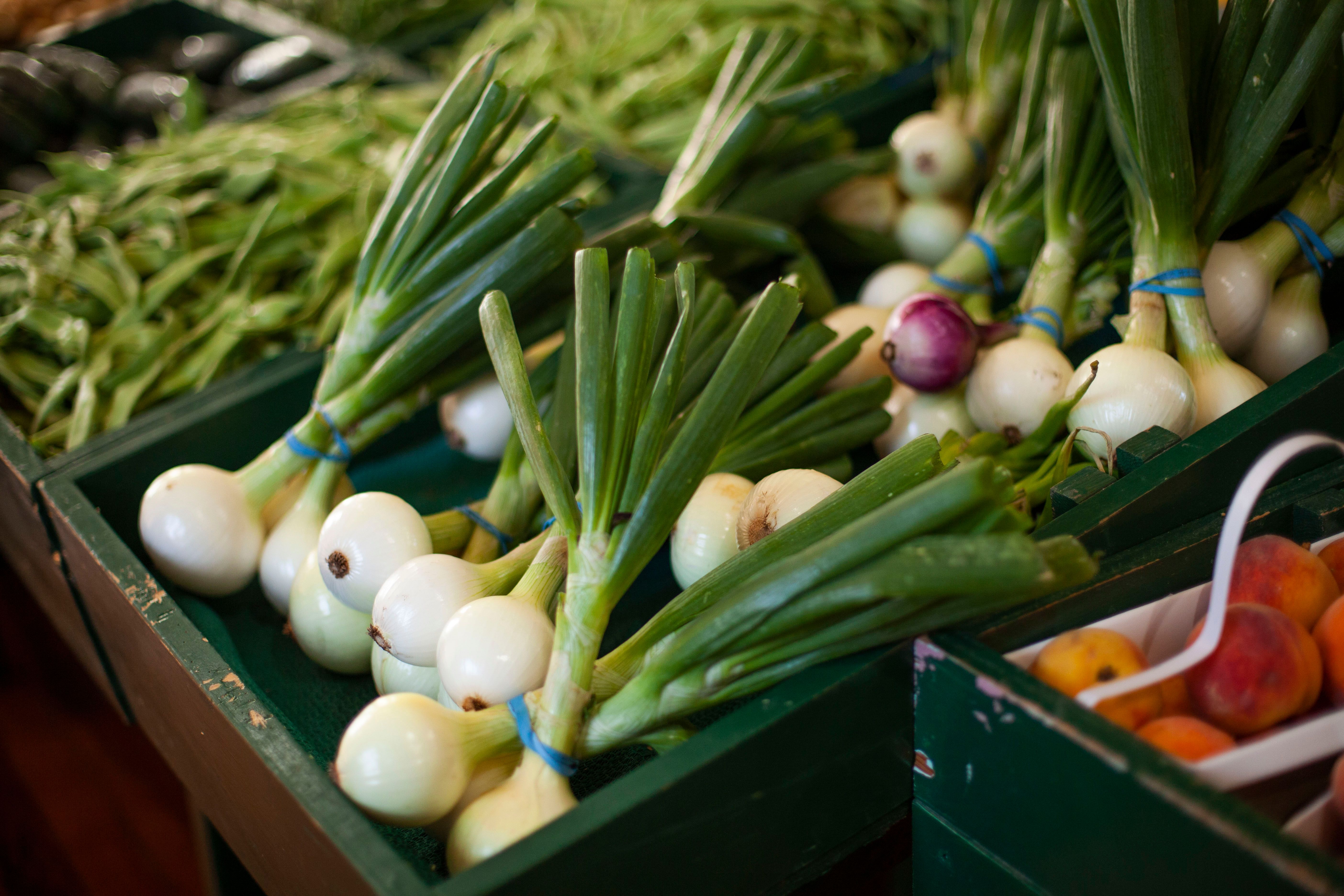 Life in Republic County, Kansas