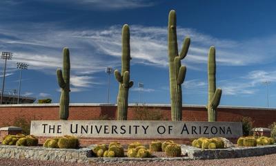 Tucson is home to the University of Arizona. Photo credit: Kristopher Kettner / Shutterstock.com